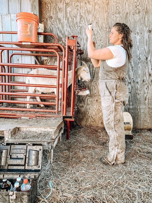 Basic Herd Health: an intro to dewormers, antibiotics, & supplements